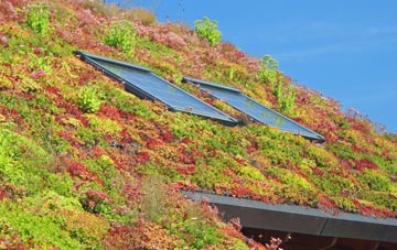 Challock living roof systems